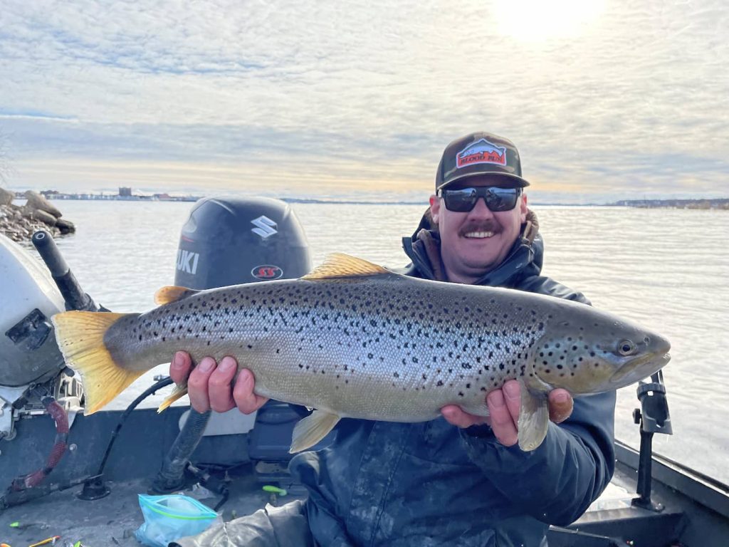 Muskegon River Brown Trout
